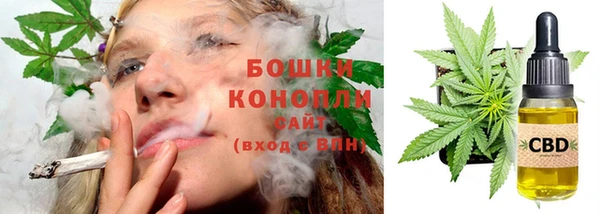 молекула духа Белоозёрский